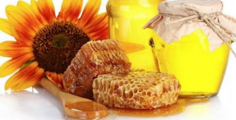 Вчені визначили самий цілющий мед в Україні