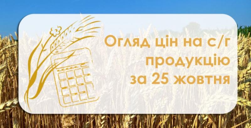 Як змінились ціни на зернові в Україні — огляд за 25 жовтня