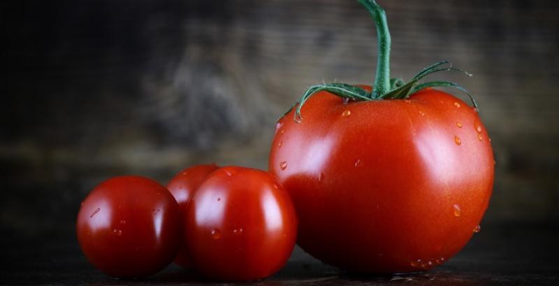 В Україну надійшли перші партії тепличних томатів з Туреччини