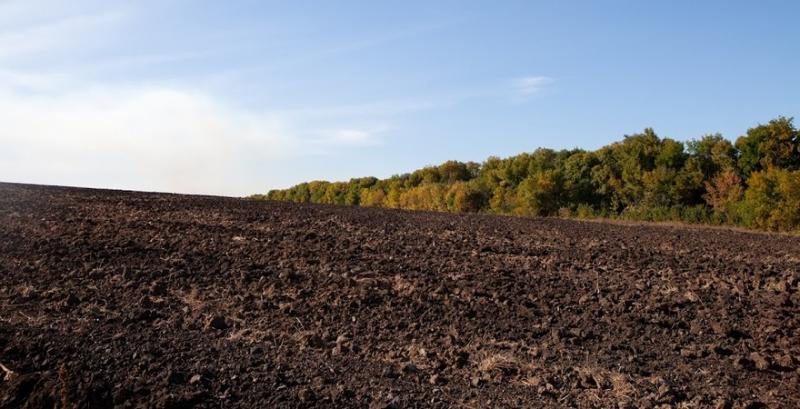 За роки дії мораторію на продаж земель в Україні з'явилося 16 видів деградації ґрунту