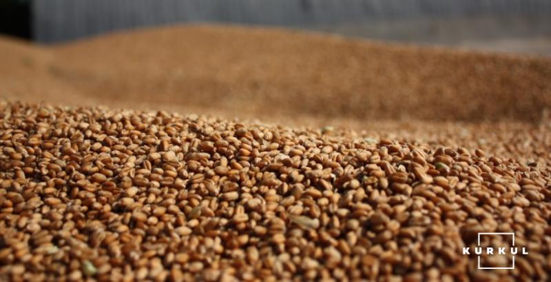 На Україну очікує рекордний урожай зерна — експерт