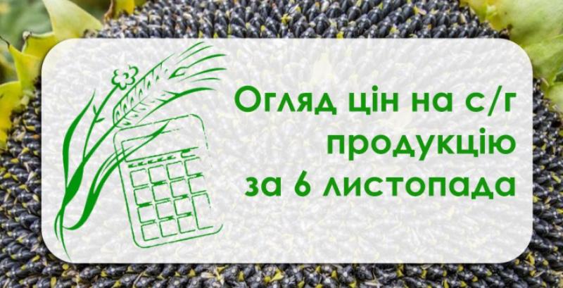 Кукурудза та пшениця подорожчали — огляд цін на с/г продукцію за 6 листопада