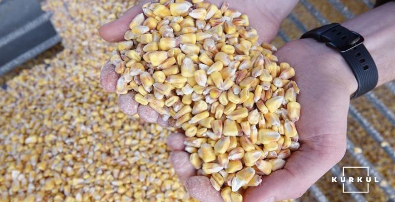 Україна збільшила поставки зерна на зовнішні ринки