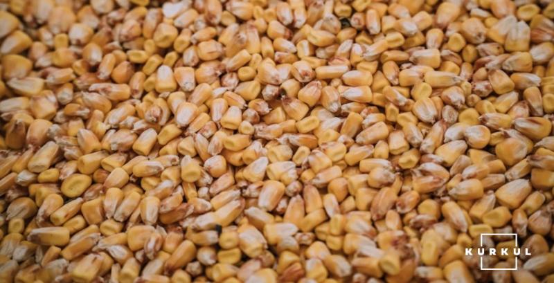 З початку сезону Україна експортувала рекордний обсяг кукурудзи