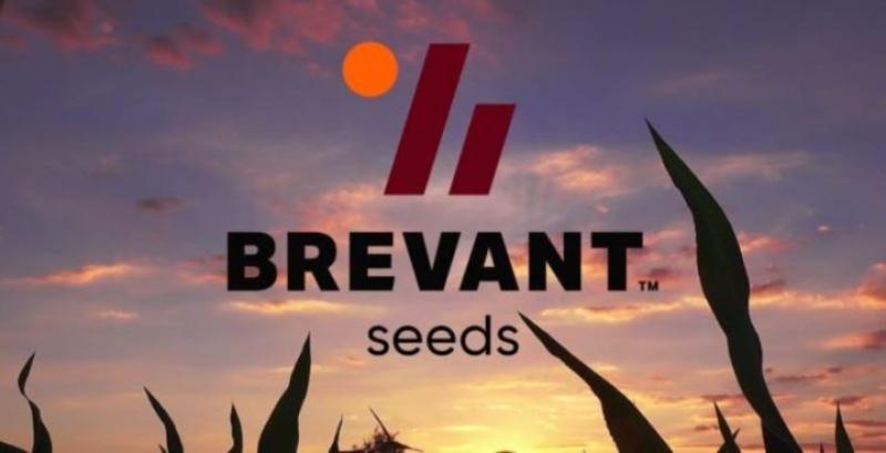 Озвучили причини відмови дистриб'юторів продавати насіння бренду Brevant