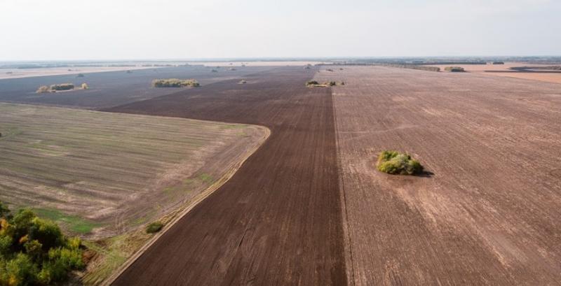 В Уряді назвали ціну української землі після відкриття ринку