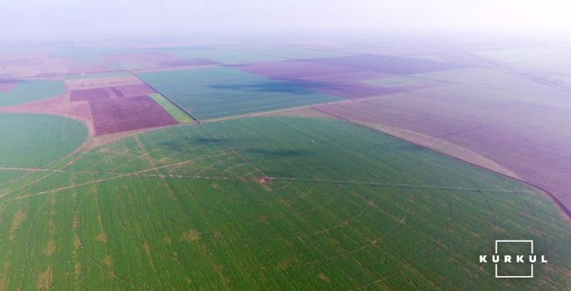 На Полтавщині фермер поверне державі понад 123 га с/г земель