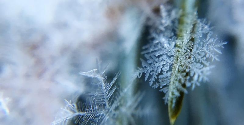 В Україні очікують морози до -10 градусів — прогноз погоди на тиждень