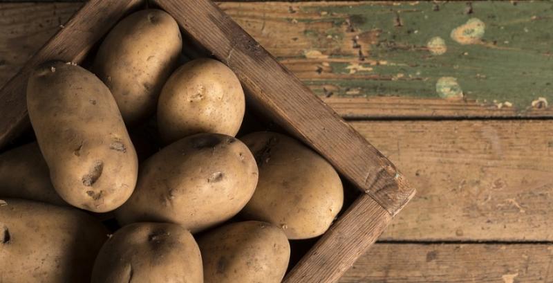 Аграрії України зібрали на 10% менше картоплі
