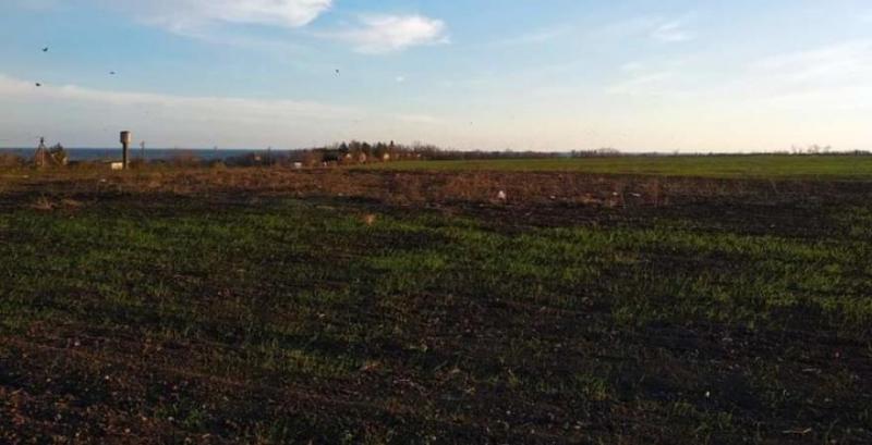 В Запорізькій області фермери руйнують археологічну пам’ятку