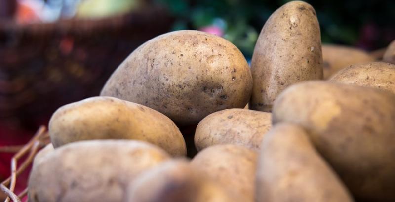 В Україну не пустили 20 тонн російської картоплі