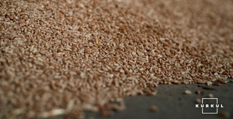 Україна з початку сезону наростила експорт пшениці на 45% 