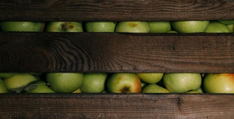 Садівники нарощують темпи реалізації яблук на внутрішньому ринку