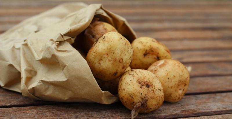 Імпорт картоплі в Україну в 28 разів перевищив експорт
