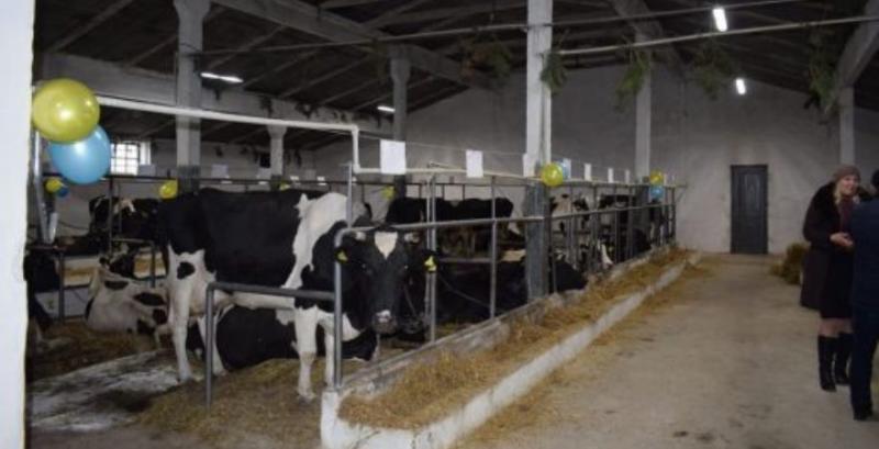 На Рівненщині відкрили 10 сімейну молочну ферму