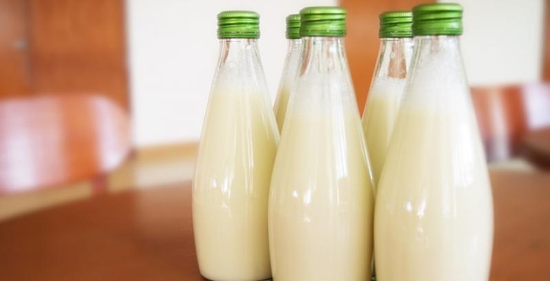 Дефіцит молочної сировини загрожує продовольчій безпеці України — думка