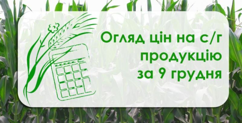 Зросла ціна ячменю та кукурудзи — огляд цін на с/г продукцію за 9 грудня
