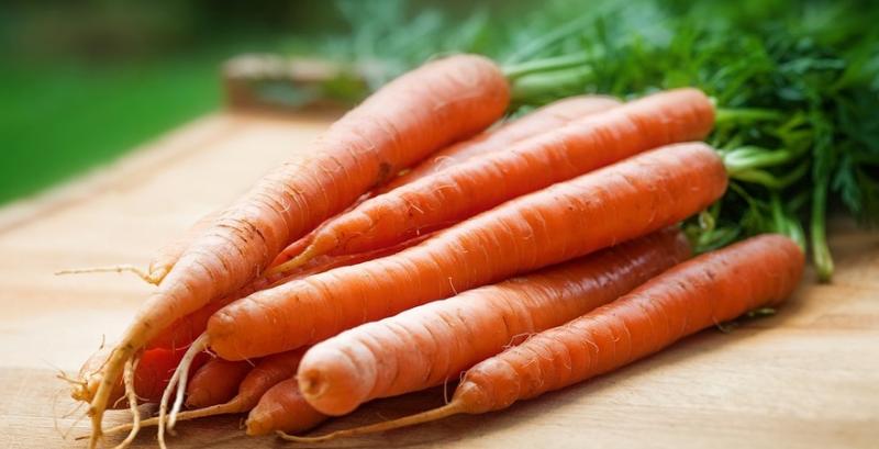 Фермери Херсонщини можуть втратити 20% урожаю моркви — думка