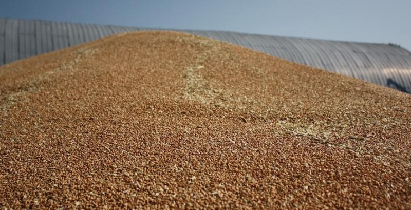 В Україні стало можливо контролювати фактичні обсяги зерна у сховищах