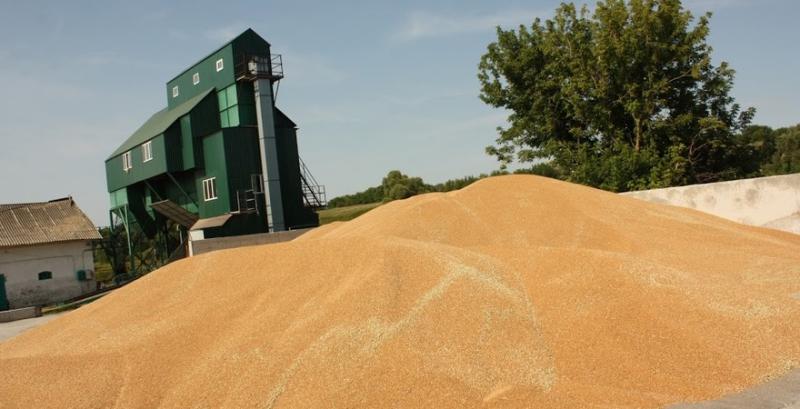 Рівненщина встановила рекорд із валового збору зерна