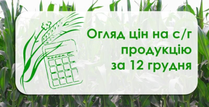 В Україні подорожчала пшениця та кукурудза — огляд цін на с/г продукцію за 12 грудня