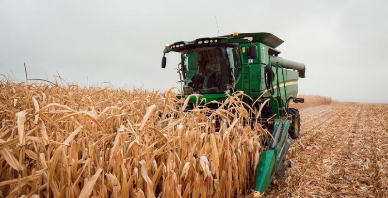 На Дніпропетровщині зібрали найбільший урожай зернових за роки незалежності України