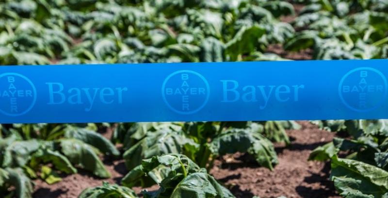 Bayer збільшила виручку в 1,5 рази 