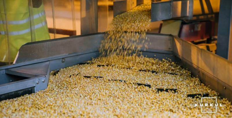 Україна експортувала понад 27 млн тонн зерна