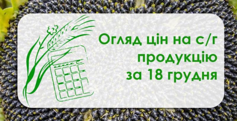 Кукурудза, соняшник та соя продовжую дешевшати — огляд цін на с/г продукцію за 18 грудня