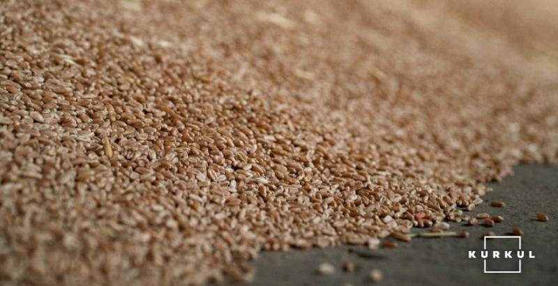 Україна з початку сезону експортувала 29 млн тонн зерна
