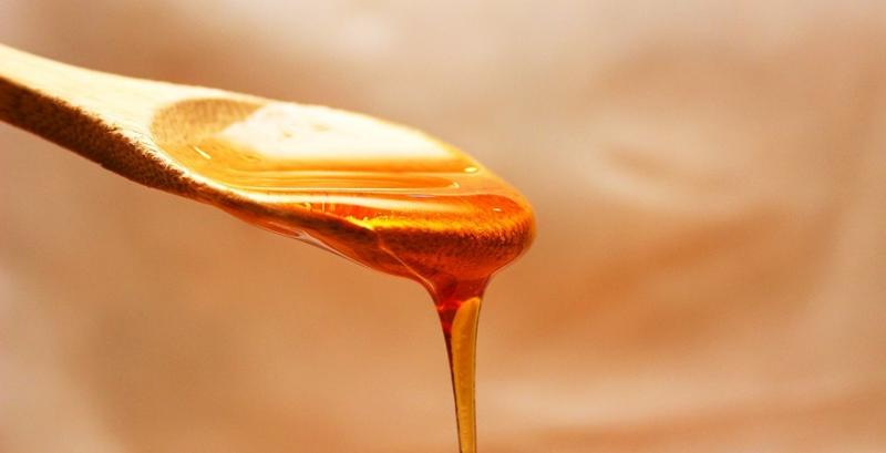 В Україні 50% травневого та акацієвого меду є підробкою — дослідження