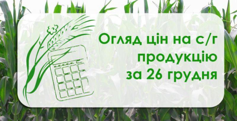 Пшениця та кукурудза подорожчали —огляд цін на с/г продукцію за 26 грудня
