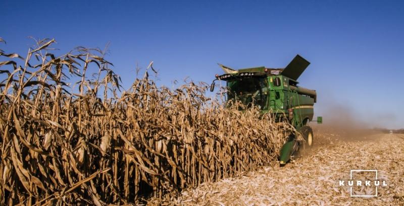 Ціни на кукурудзу знижуються через відсутність попиту
