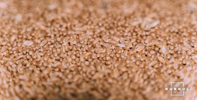 Україна збільшить експорт пшениці у 2019/20 МР — USDA