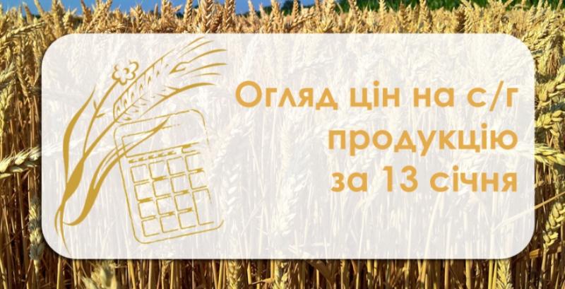 Зернові подешевшали — огляд цін на с/г продукцію за 13 січня