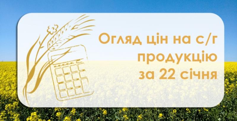 В Україні дорожчає кукурудза — огляд цін на с/г продукцію за 22 січня