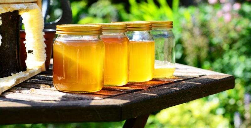 Україна за 10 днів нового року вичерпала квоти на експорт меду