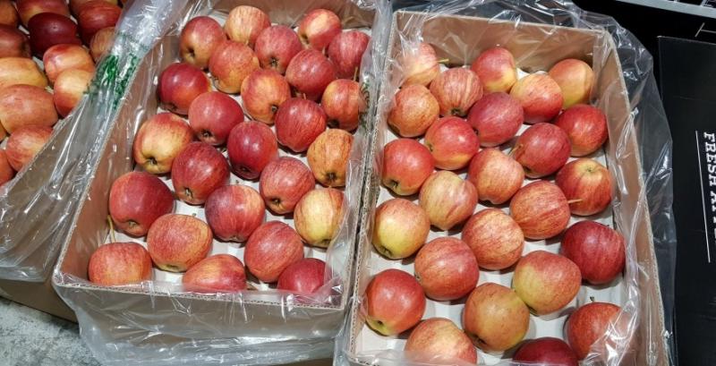 Господарство Гадз почало експортувати яблука на Мальдіви