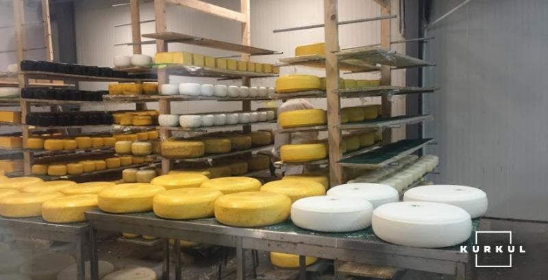 Тиск імпорту спровокує падіння виробництва сирів в Україні на 7%
