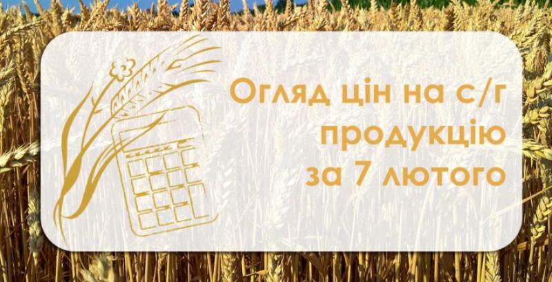 Пшениця та кукурудза подешевшали— огляд цін на с/г продукцію за 7 лютого