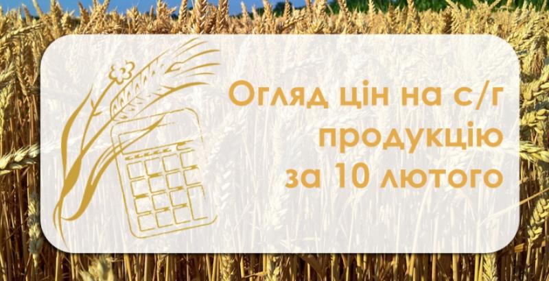Кукурудза та пшениця подешевшали — огляд цін на с/г продукцію за 10 лютого