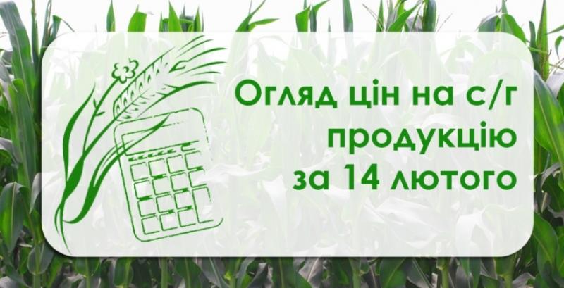 В Україні подорожчала пшениця — огляд цін на с/г продукцію за 14 лютого