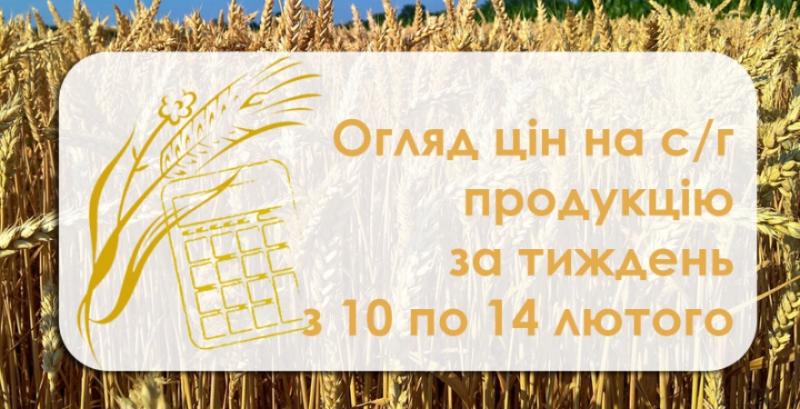 В Україні продовжує знижуватись ціна кукурудзи та ячменю  — огляд за тиждень з 10 по 14 лютого