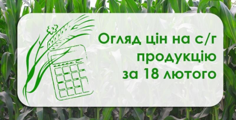 В Україні дешевшають соняшник, ріпак та соя — огляд цін на с/г продукцію за 18 лютого