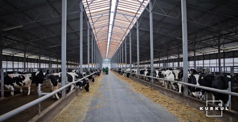 До 2026 р в Україні буде створено 5 тисяч сімейних молочних ферм 