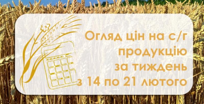 В Україні другий тиждень поспіль дешевшають кукурудза та ячмінь  — огляд за тиждень з 17 по 21 лютого