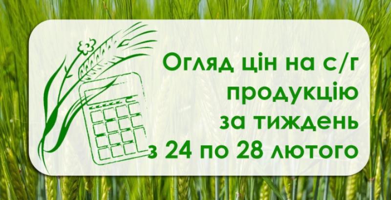 В Україні продовжує знижуватись ціна на кукурудзу — огляд за тиждень з 24 по 28 лютого