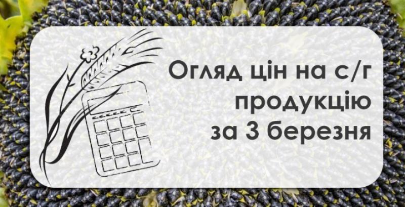 В Україні знизились закупівельні ціни на соняшник та кукурудзу — огляд за 3 березня