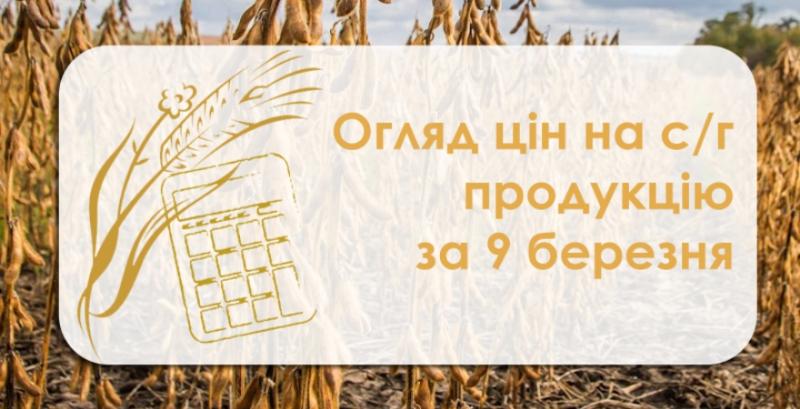Кукурудза та пшениця подорожчали — огляд цін на с/г продукцію за 9 березня