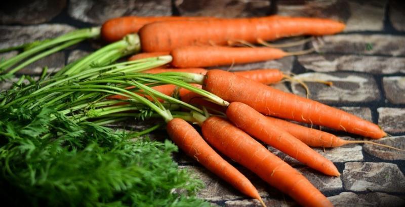 Фермери Херсонщини в кінці березня збиратимуть урожай моркви